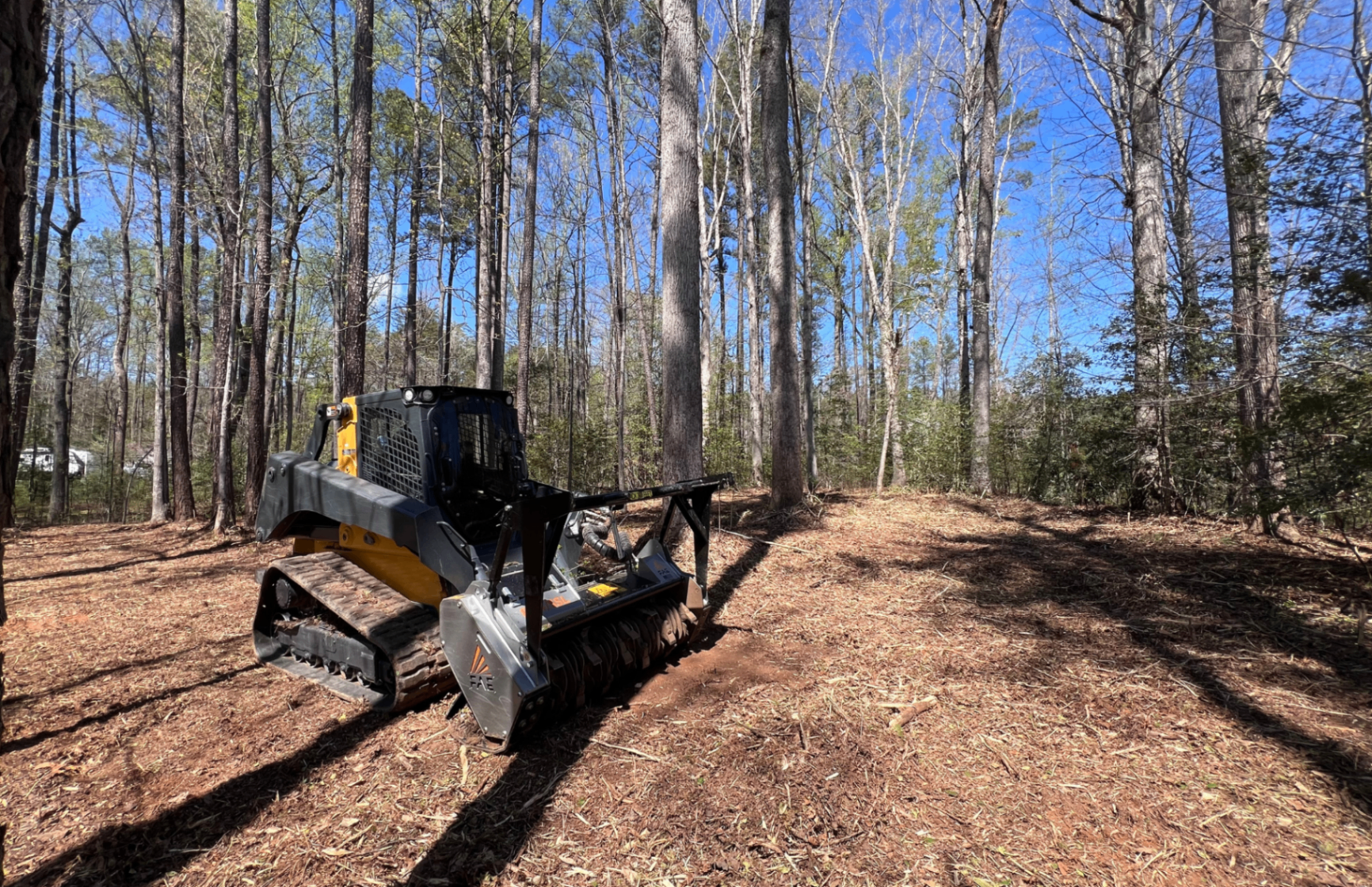 AFTER — Dense hardwood understory · cleared with mulcher